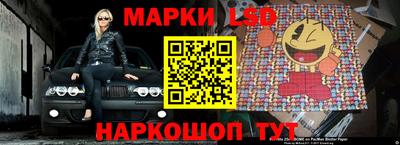 гидра Краснознаменск