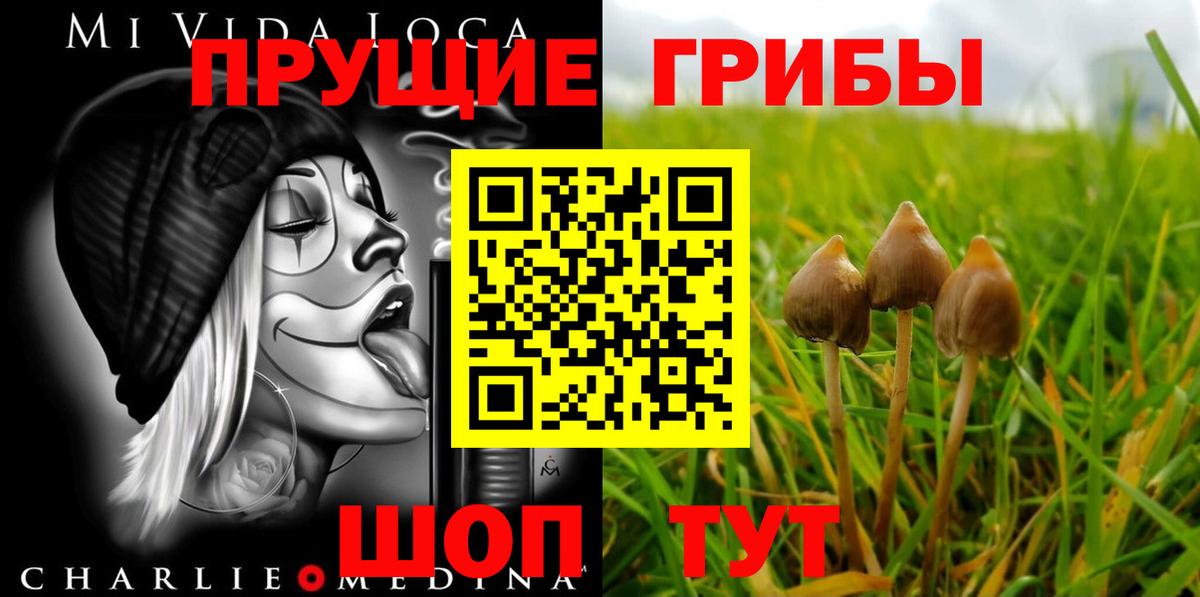 Елабуга  Псилоцибиновые грибы ЛСД  Галлюциногенные грибы мухоморы  магазин    Вход с VPN 