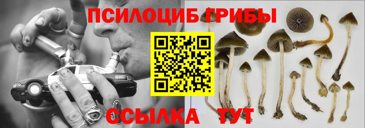 Галлюциногенные грибы мухоморы Елабуга
